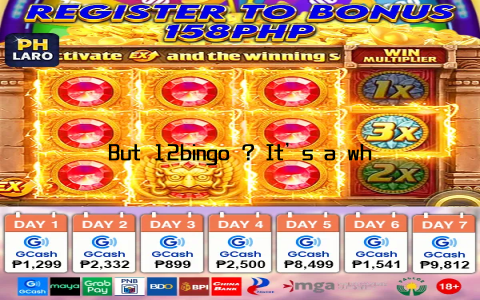But 12bingo ? It’s a whole different story