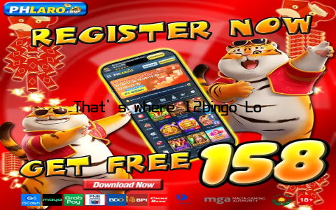 That’s where 12bingo Login comes in